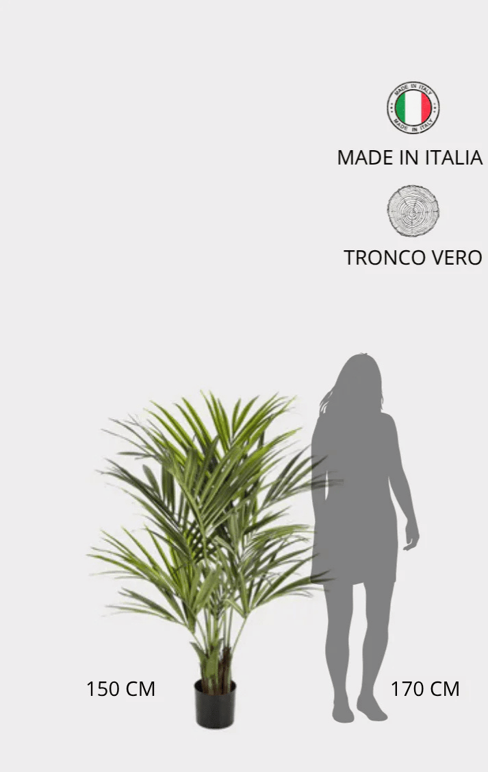 Palma Kentia Seminaturale • Verde • Tronco in fibra di Cocco • H cm 150