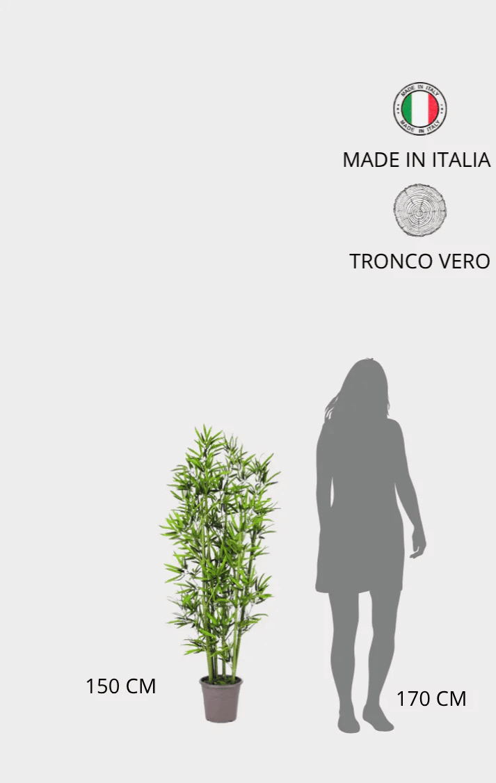 Bamboo Large Seminaturale • Verde • 6/7 Canne Naturali • UVR