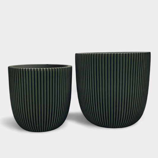 VASO CASPO GROOVE NL