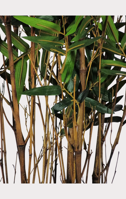 Bamboo Orientale Semi-Naturale • Verde • Canne Naturali • H 180 cm