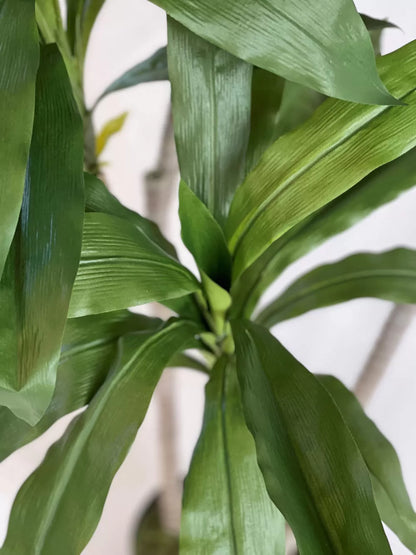 Dracena Fragrans Artificiale • Verde • H cm 160