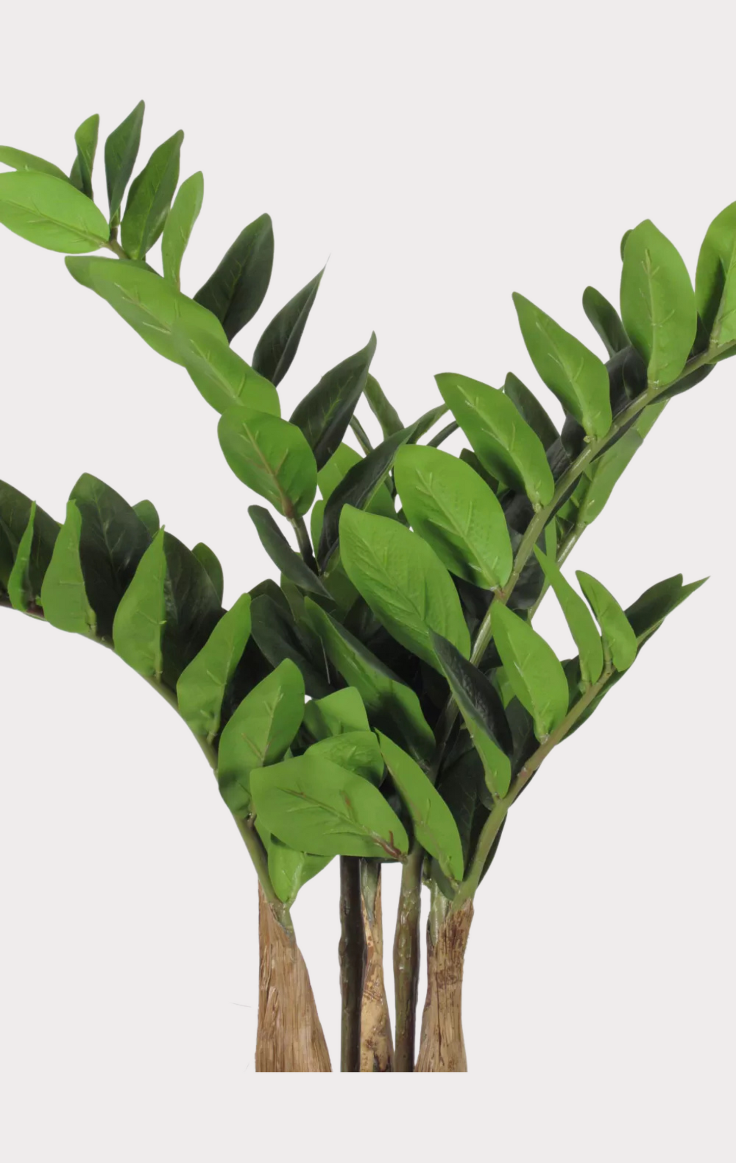 Zamioculcas Artificiale Real Touch · Verde · 112 Foglie · Cm. 60