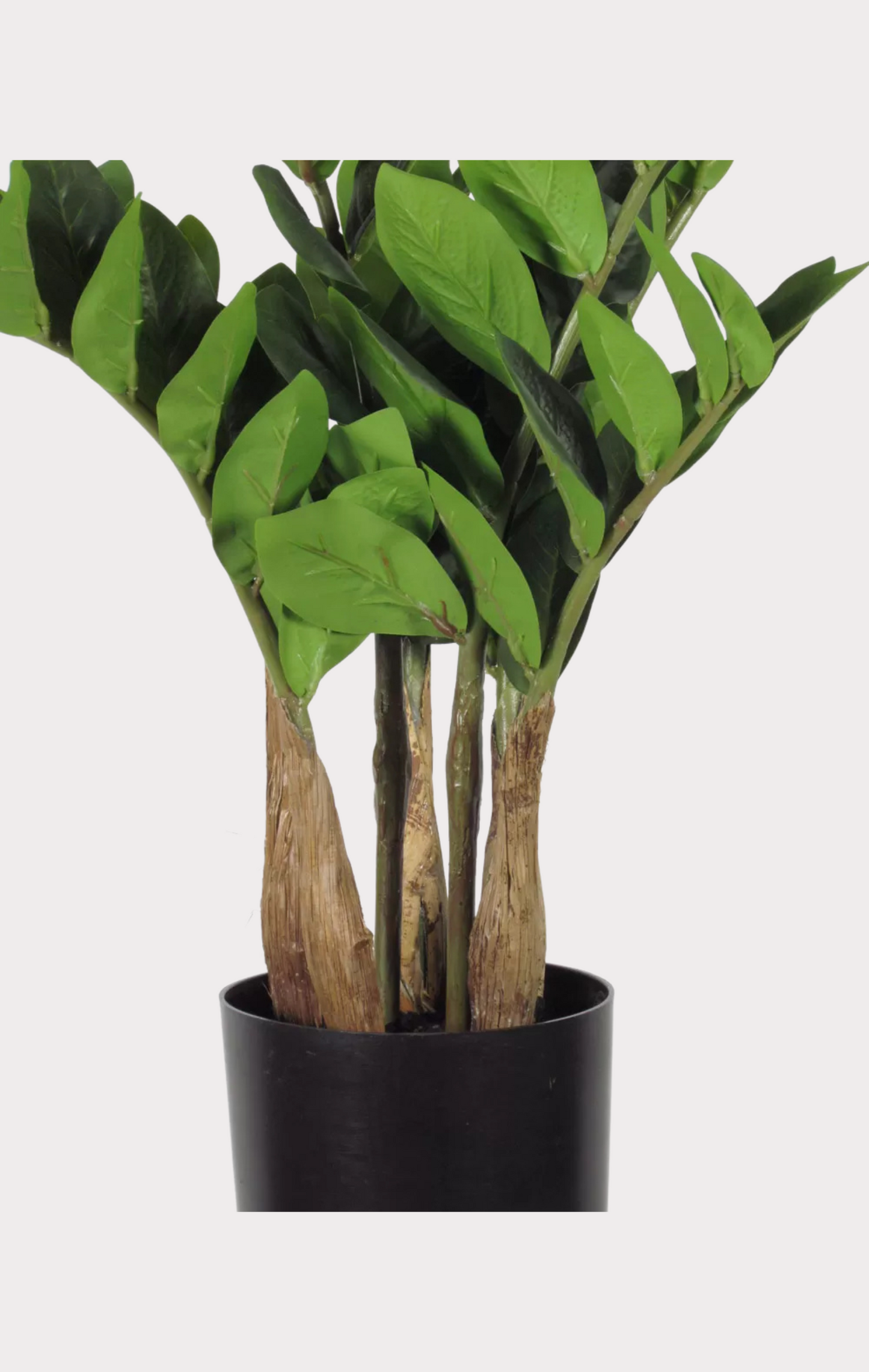 Zamioculcas Artificiale Real Touch · Verde · 112 Foglie · Cm. 60