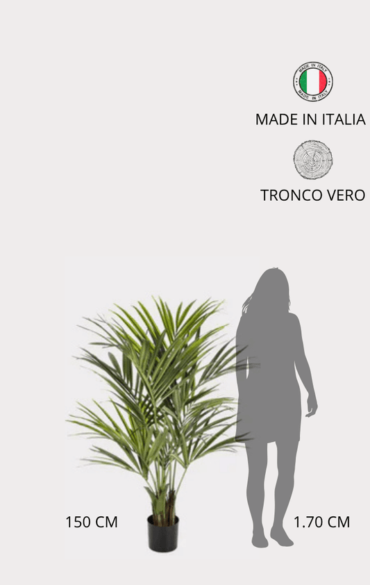 Palma Kentia Seminaturale • Verde • Tronco in fibra di Cocco • H cm 150