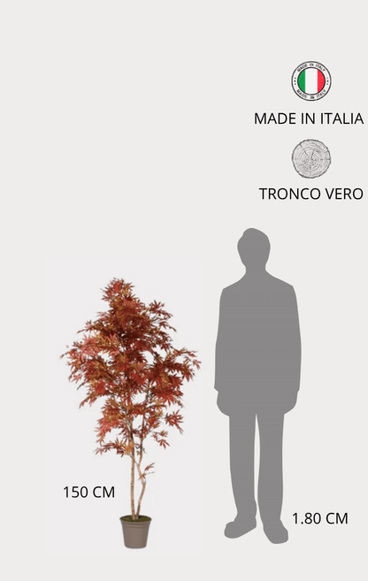 Acero Semi-Naturale · Rosso · New Garden · Tronco Mansanisi