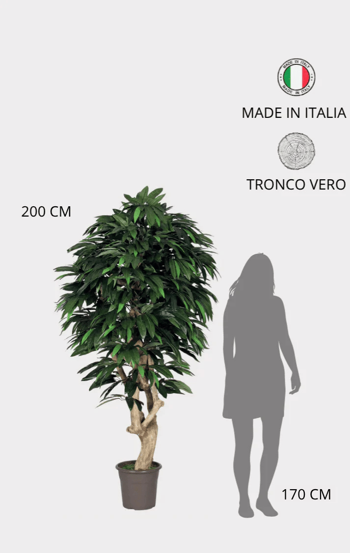 Mango Seminaturale • Verde • Tronco Mediterraneo • UVR