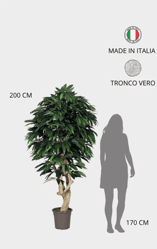 Mango Seminaturale • Verde • Tronco Mediterraneo • UVR