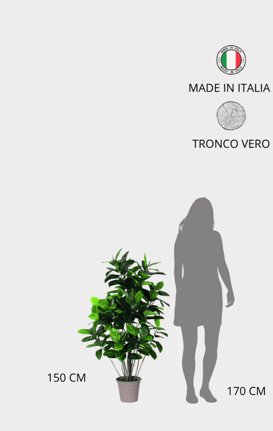 Ficus Elastica Artificiale • Verde • Tronco Real Touch • H cm 150