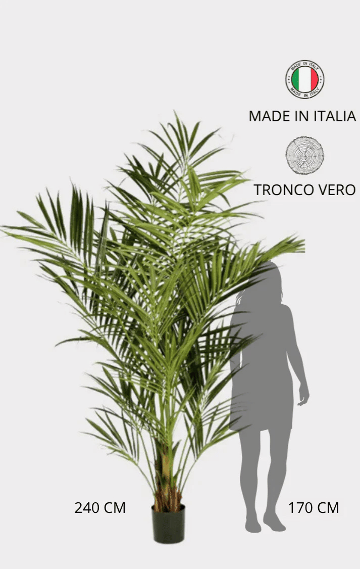 Palma Kentia Seminaturale • Verde • Tronco in fibra di Cocco • H cm 240