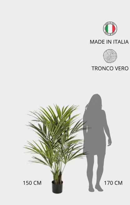 Palma Kentia Seminaturale • Verde • Tronco in fibra di Cocco • H cm 150