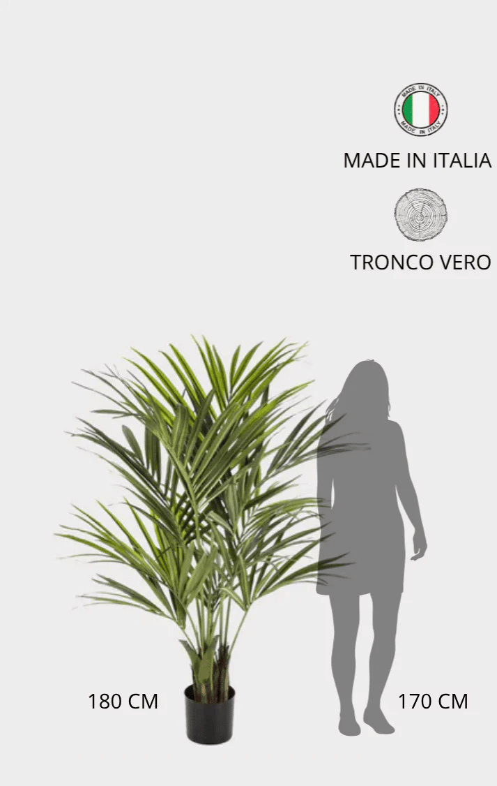 Palma Kentia Seminaturale • Verde • Tronco in fibra di Cocco • H cm 180