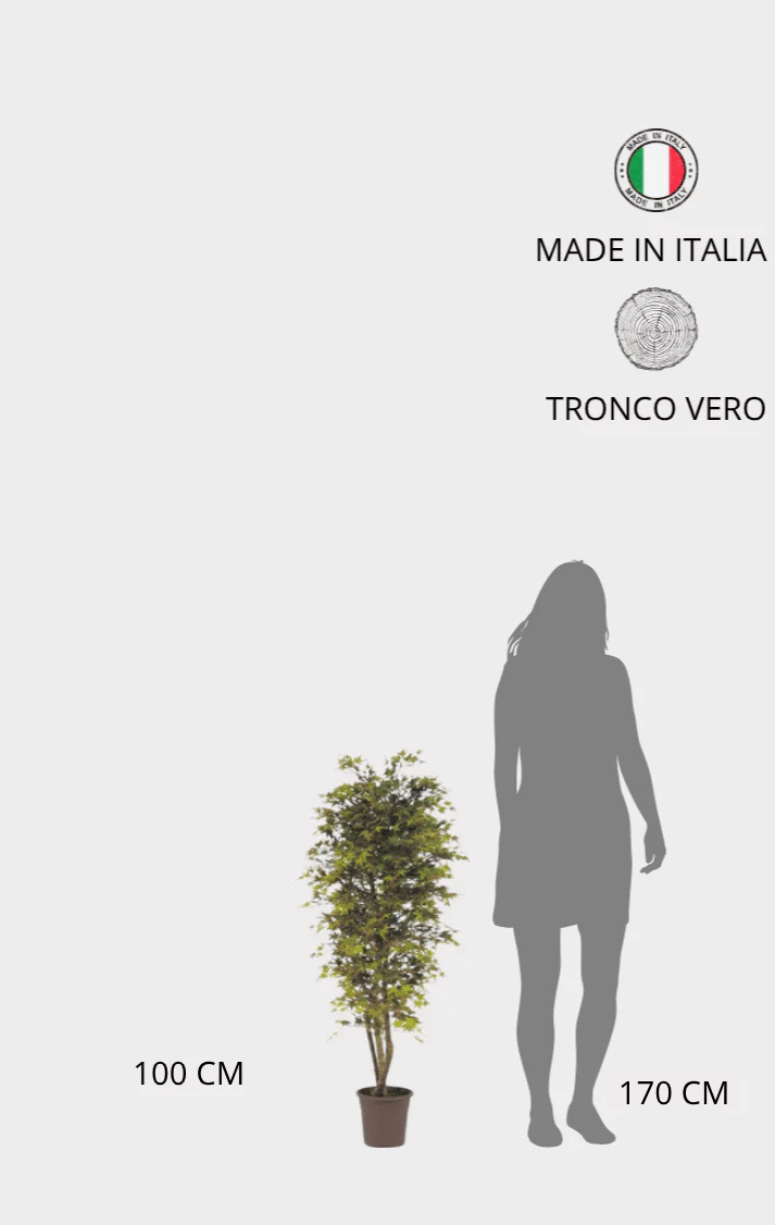 Acero Semi-Naturale · Colori Autunnali · Mini-foglie · Tronco Mansanisi