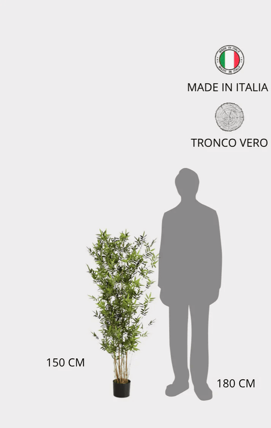 Bamboo Orientale Semi-Naturale • Verde • Canne Naturali • H 180 cm