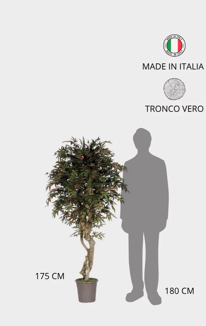 Acero Seminaturale • Verde • Tronco Mediterraneo