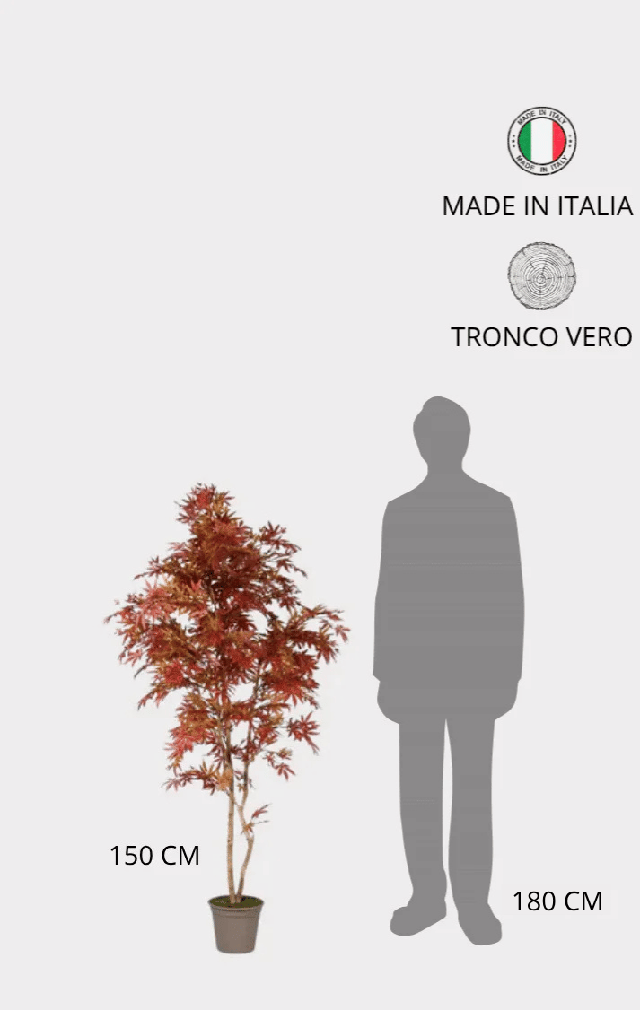 Acero Semi-Naturale · Rosso · New Garden · Tronco Mansanisi