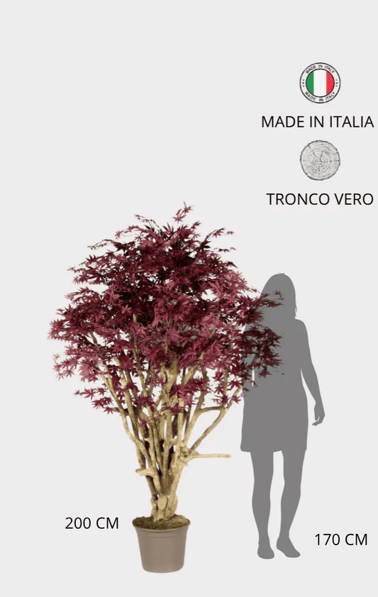 Acero Luxe Seminaturale • Rosso • Tronco Tobago • H cm 200/225