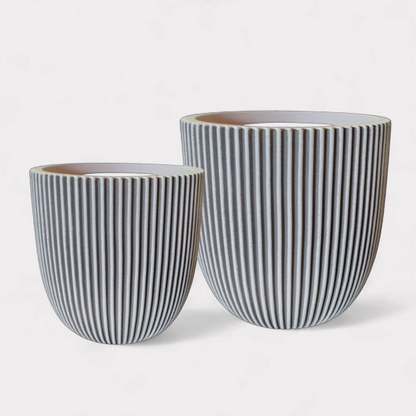 VASO CASPO GROOVE NL