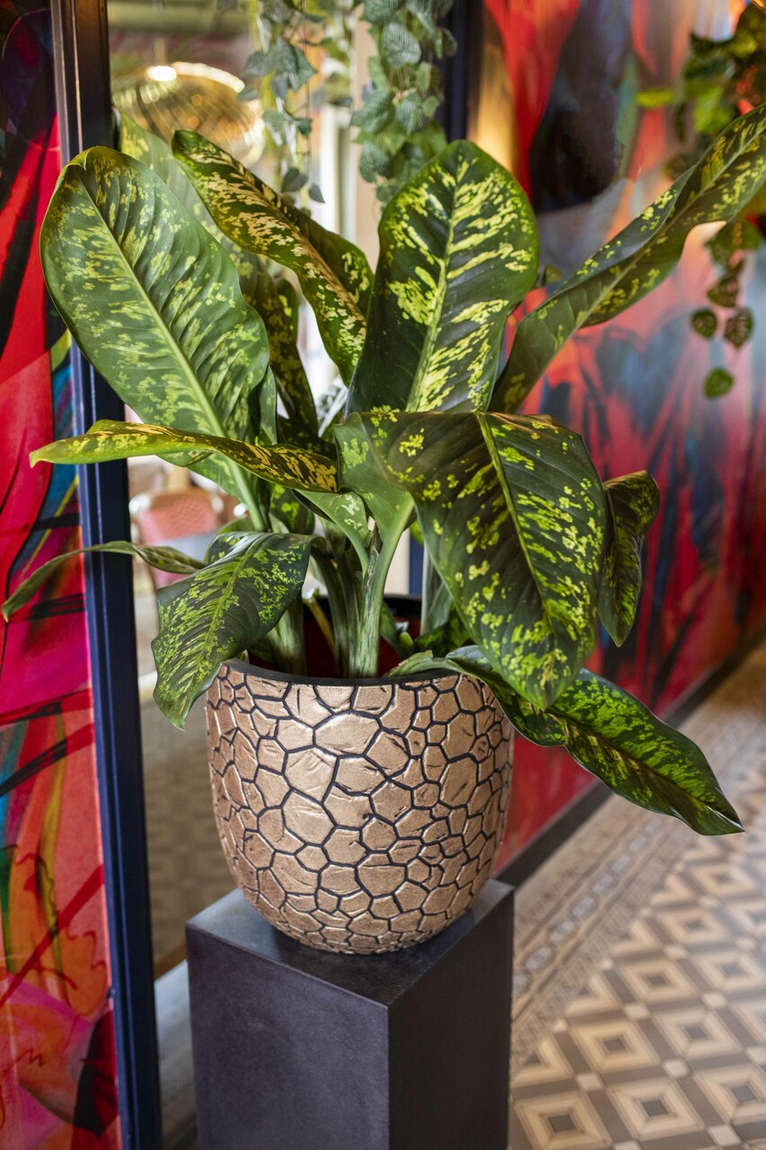 VASO A SFERA CLAY NL