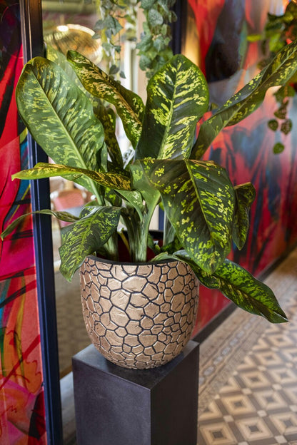 VASO A SFERA CLAY NL