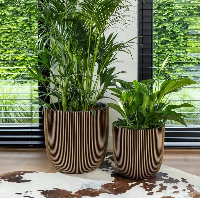 VASO CASPÒ GROOVE NL