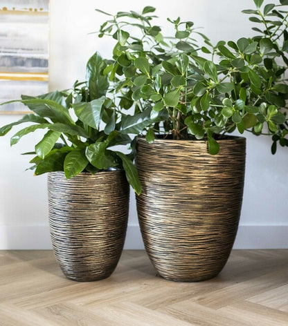 VASO ELEGANT ALTO RIB NL