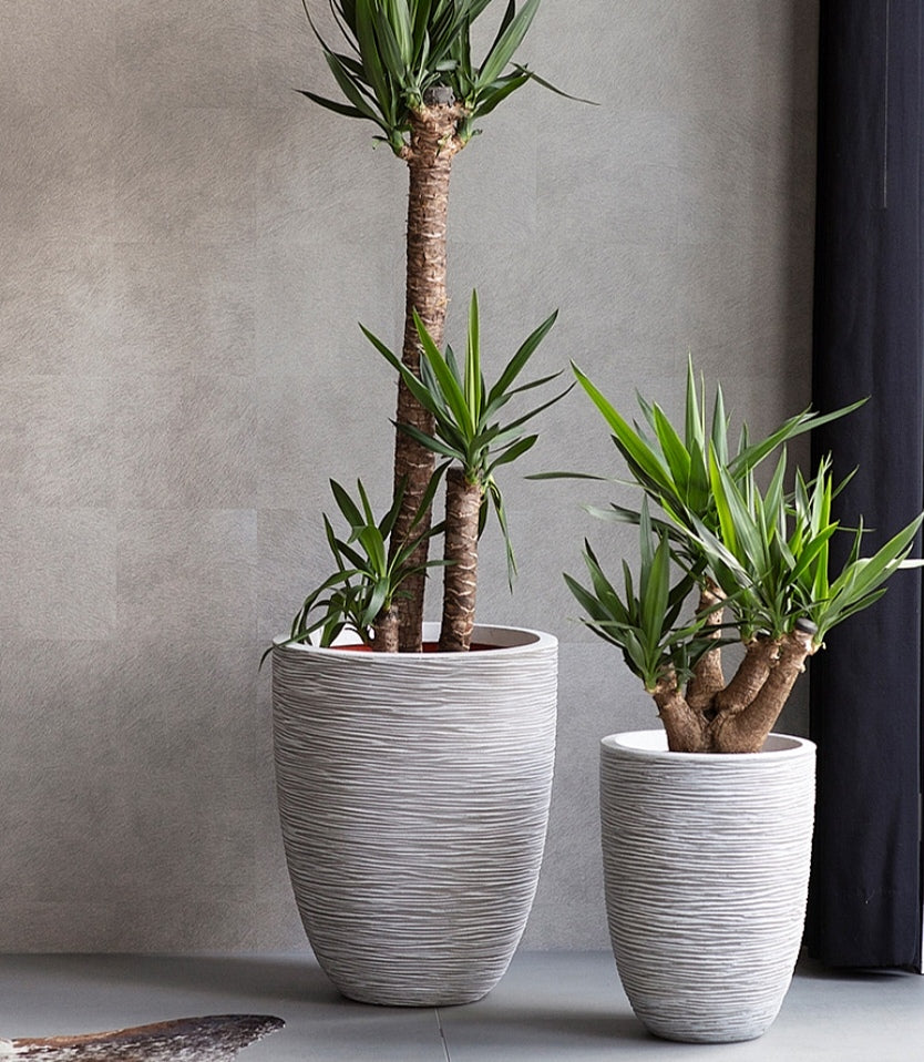 VASO ELEGANT ALTO RIB NL