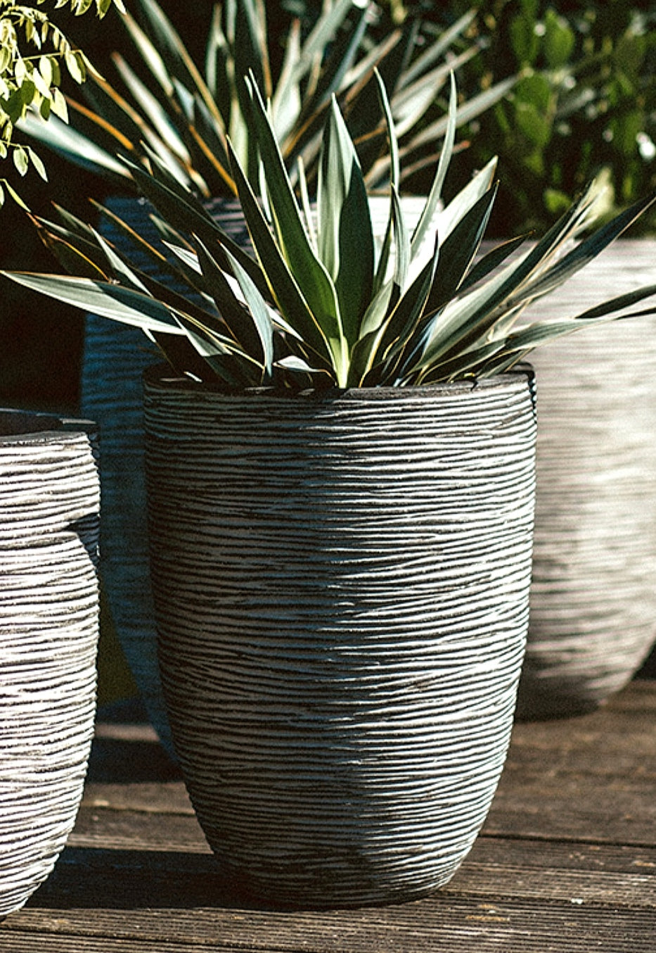 VASO ELEGANT ALTO RIB NL