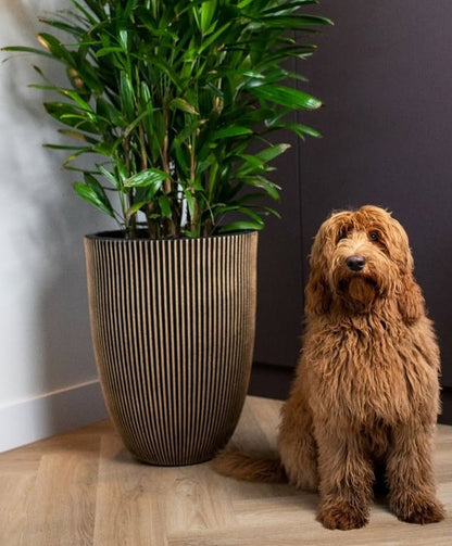 VASO ELEGANTE GROOVE NL