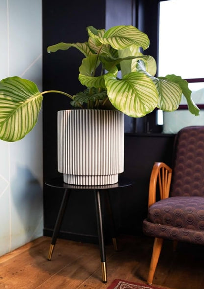 VASO CILINDRICO GROOVE NL