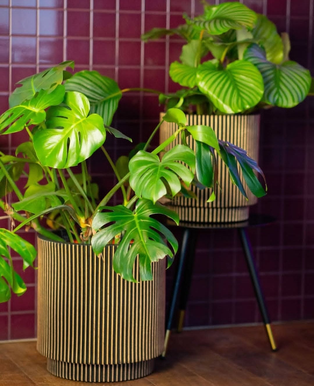 VASO CILINDRICO GROOVE NL