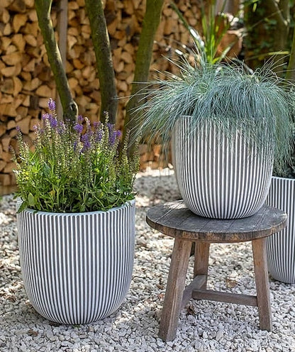 VASO CASPO GROOVE NL